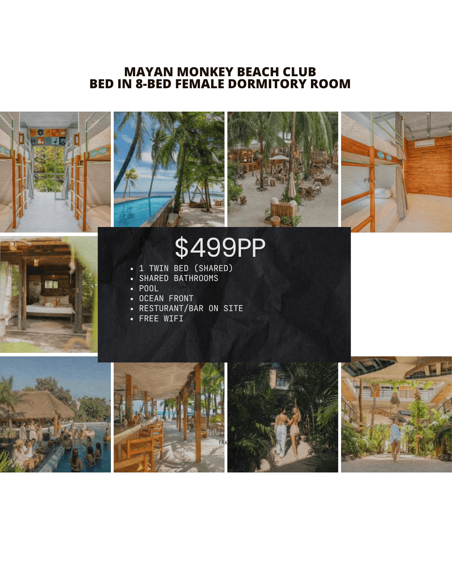 Mayan Monkey Beach Club collage featuring female dormitory beds, infinity pool, and tropical resort amenities.