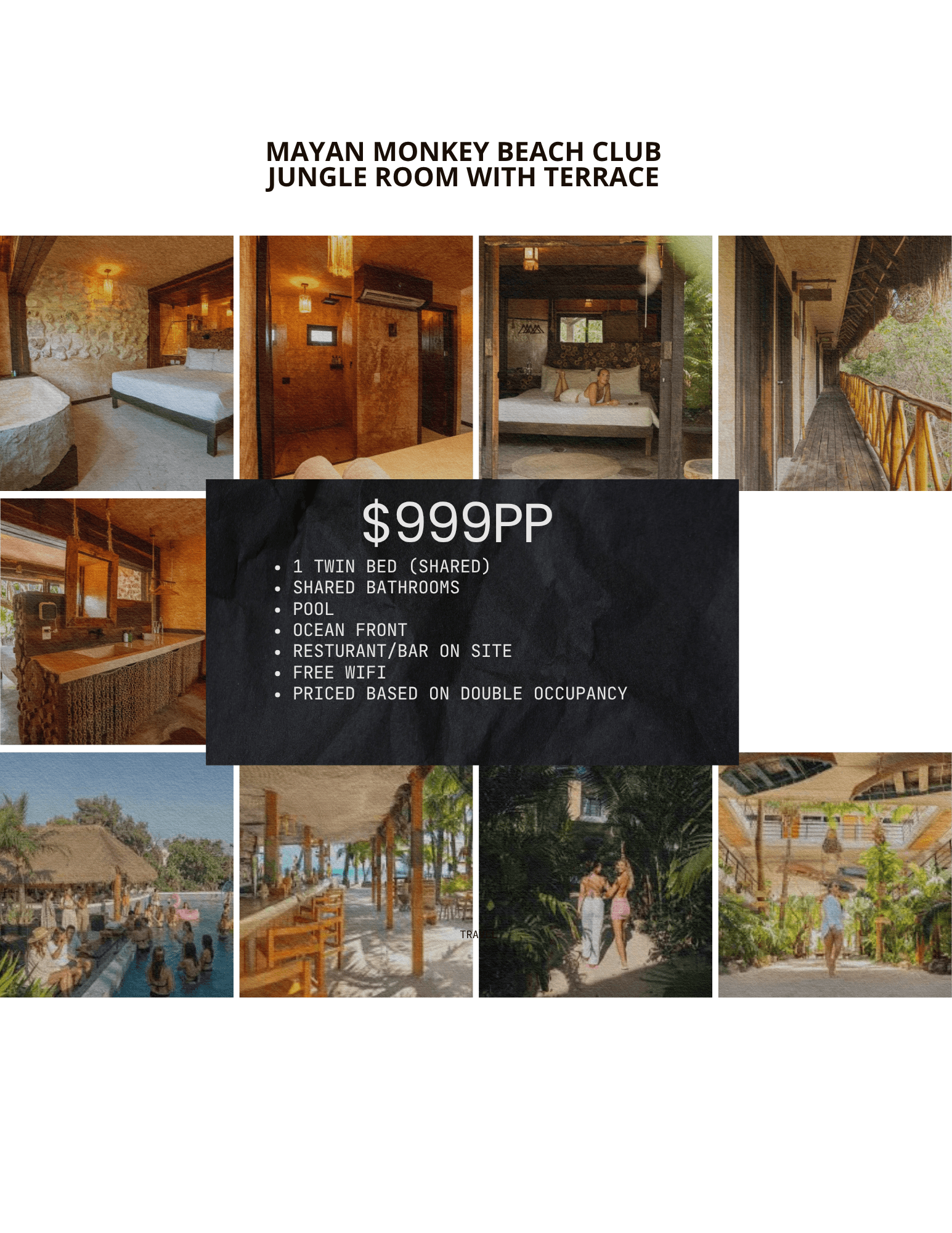 Mayan Monkey Beach Club advertisement featuring rustic jungle rooms, pool, and lush tropical grounds.